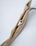 Silver ring with a red gemstone on a piece of driftwood against a white background