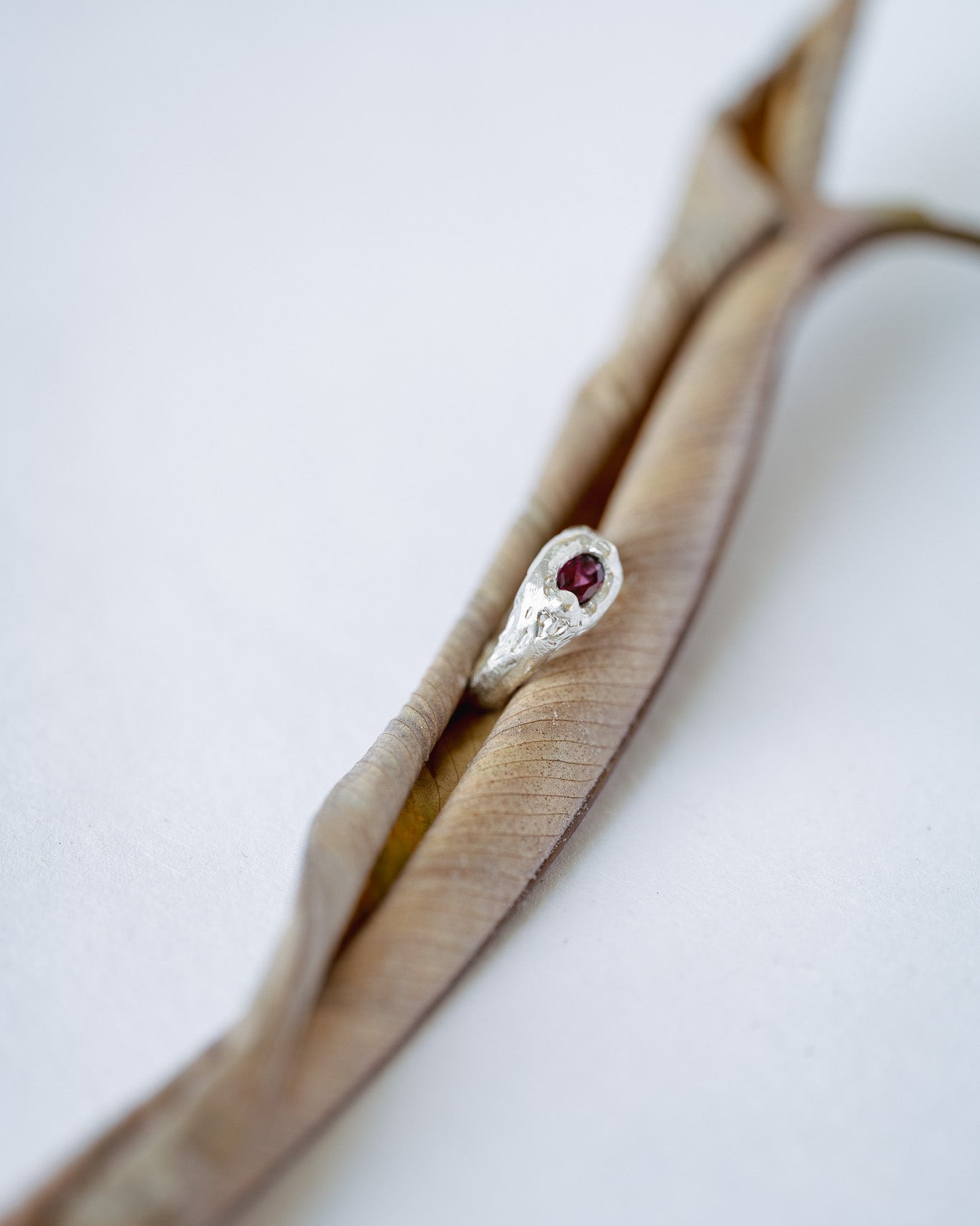 Silver ring with a red gemstone on a piece of driftwood against a white background