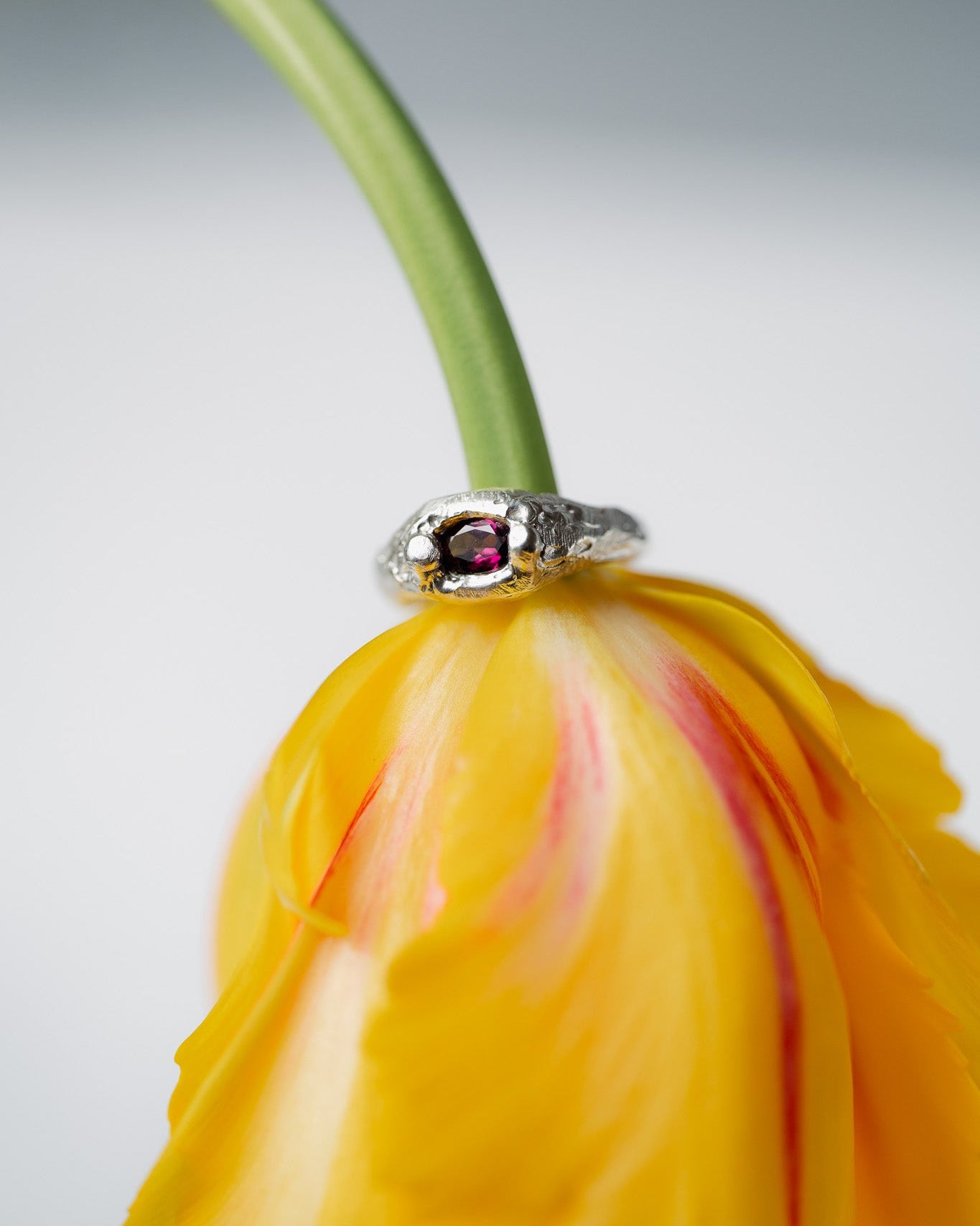 Ring with a gemstone on a yellow tulip against a gray background