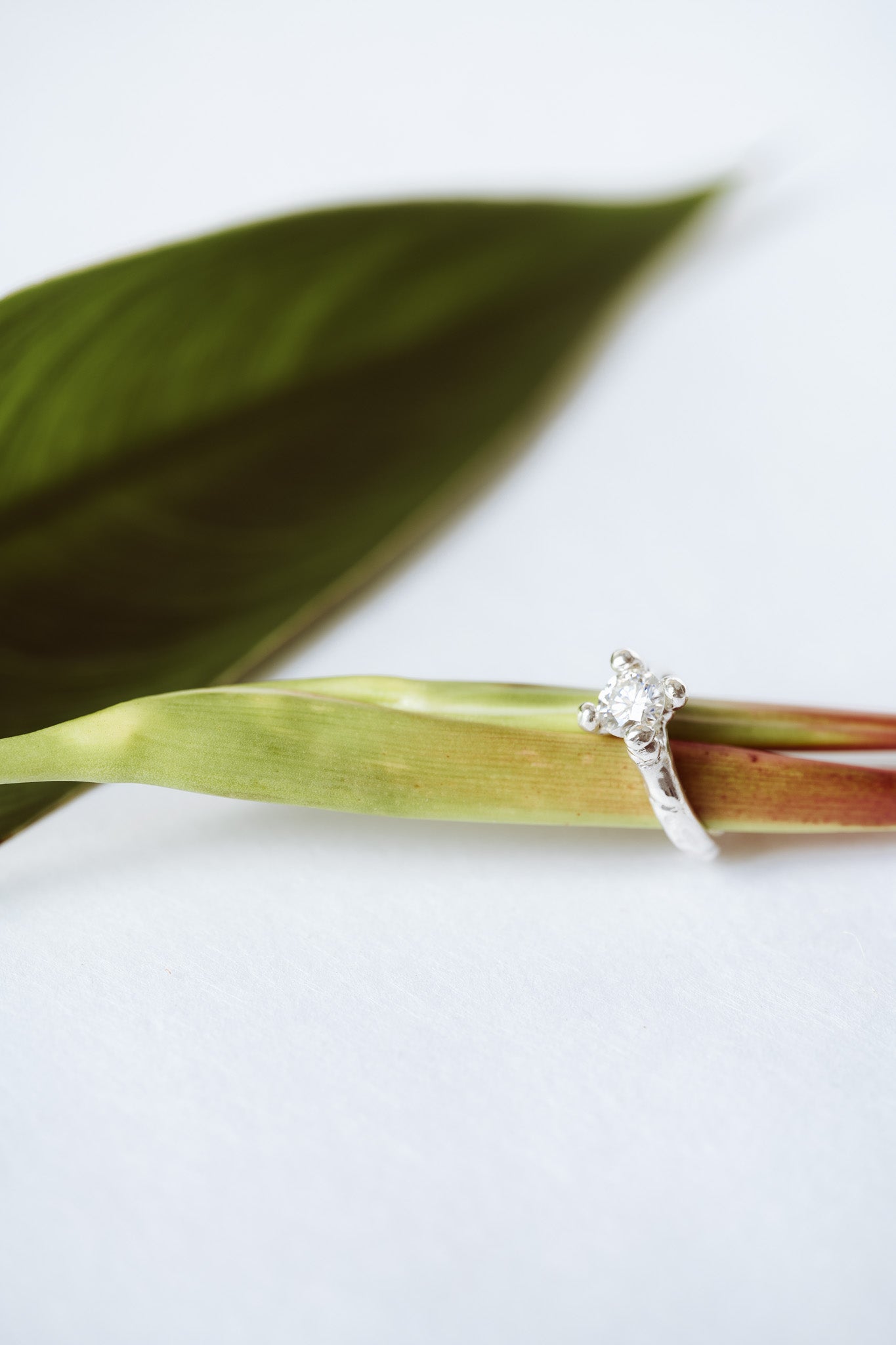 lookbook image shop_this_look_amDhCa