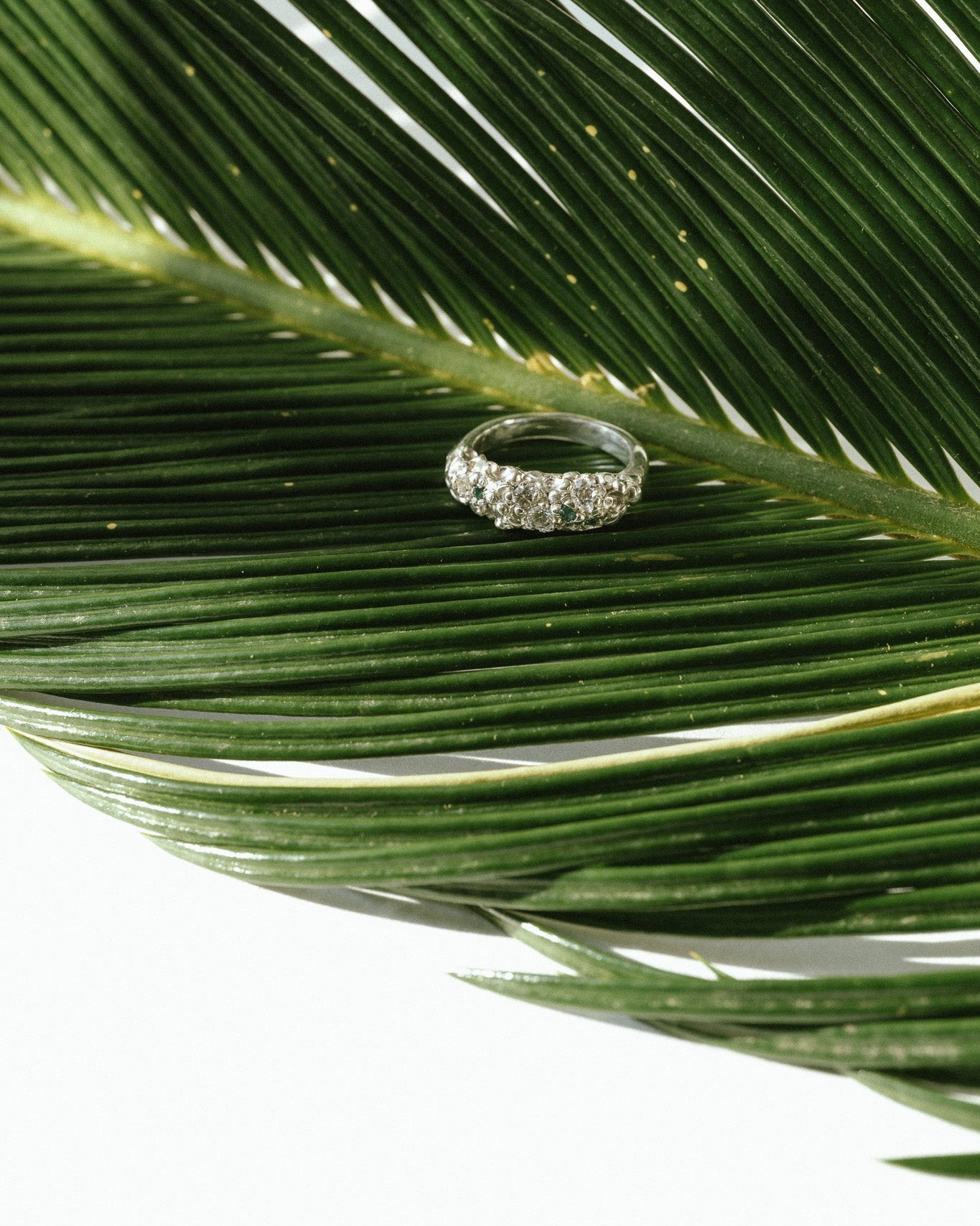 Diamond ring on a green palm leaf with a water droplet.