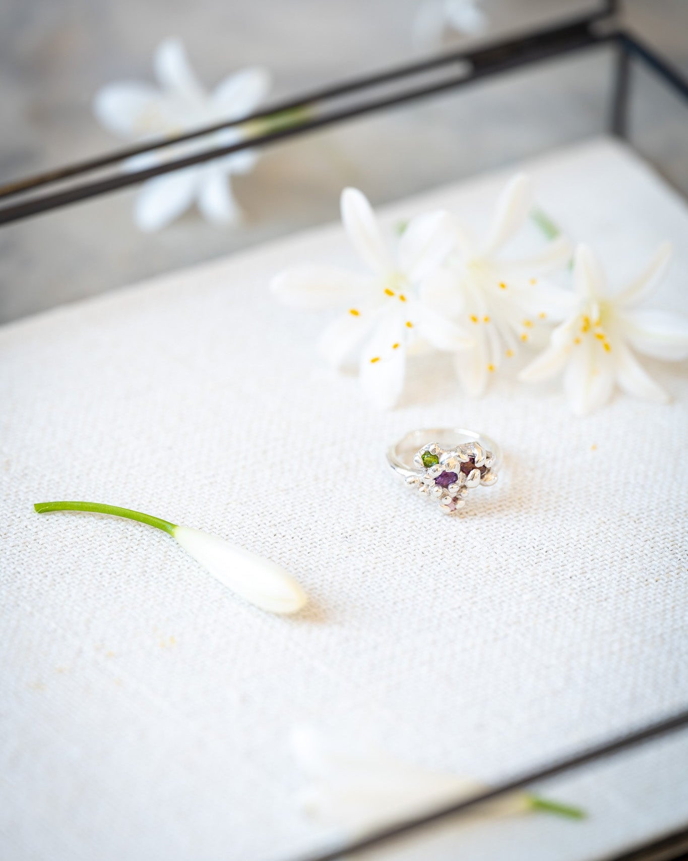 Decorative dish with white flowers and green leaves on a reflective surfaceshop_this_look_AVdw3f